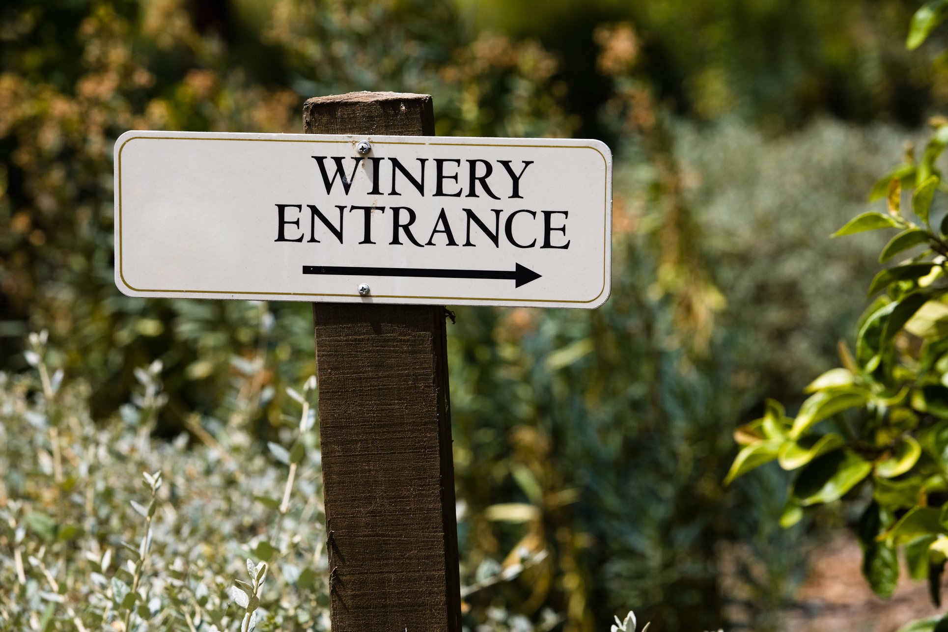 Winery entrance sign